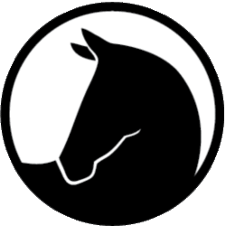 SAFE Volunteer Portal